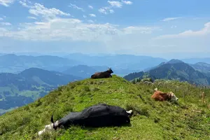 Hochgrat in Oberstaufen.